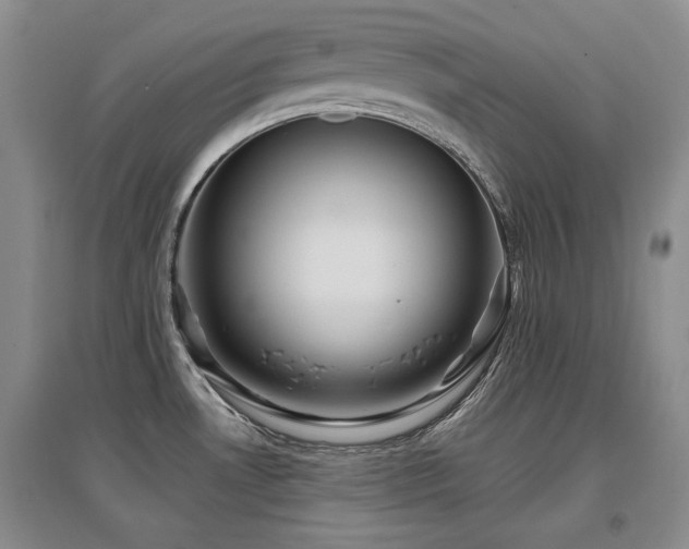 X0000097651530200802291438