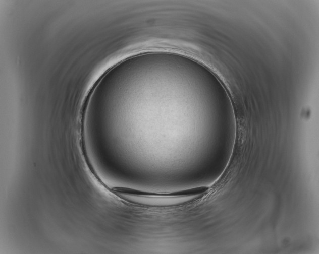 X0000097651531200802291438