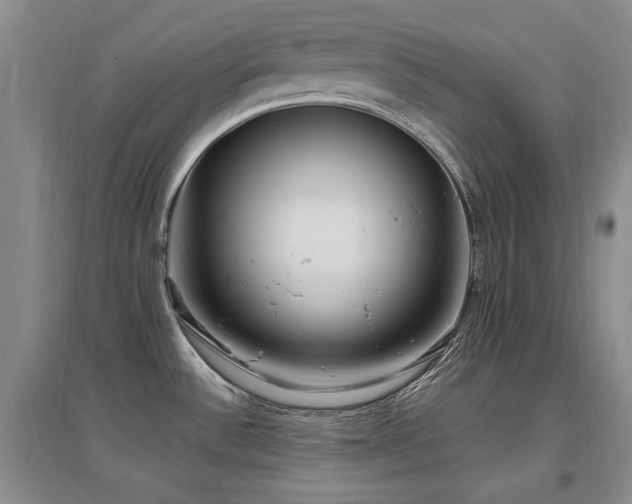 X0000097651532200802291438
