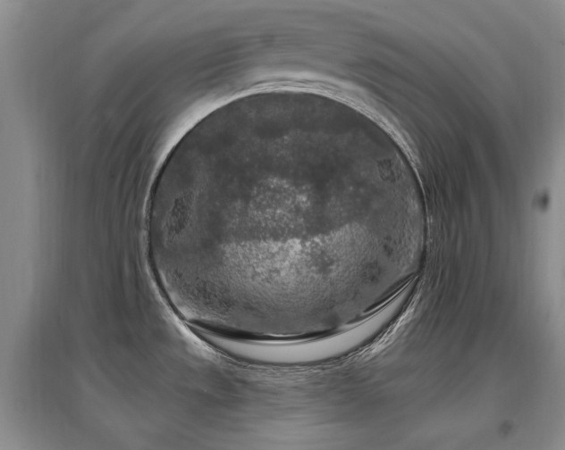 X0000097651533200802291438