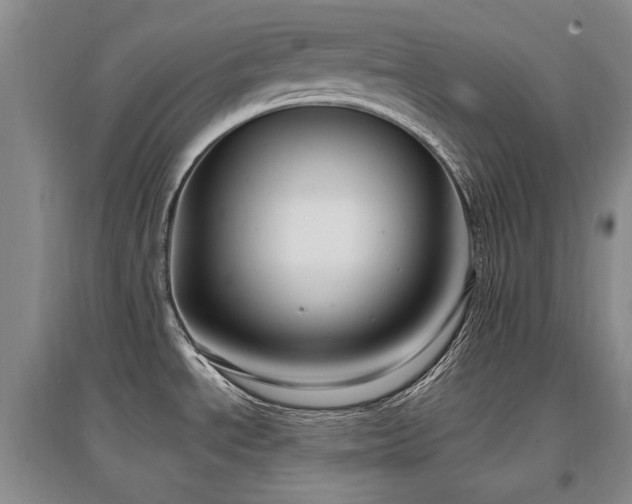 X0000097651534200802291438