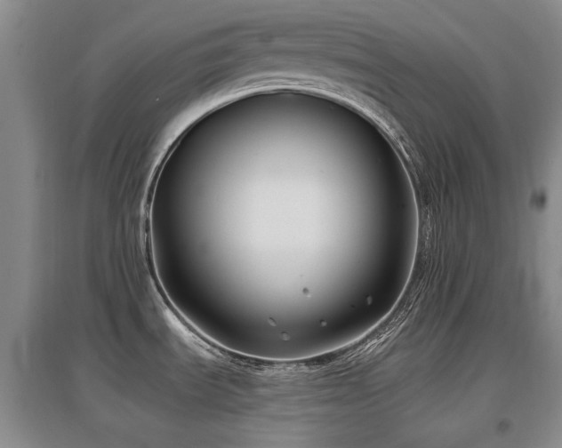 X0000097651535200802291438