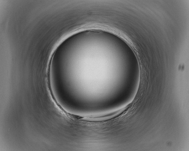 X0000097651536200802291438