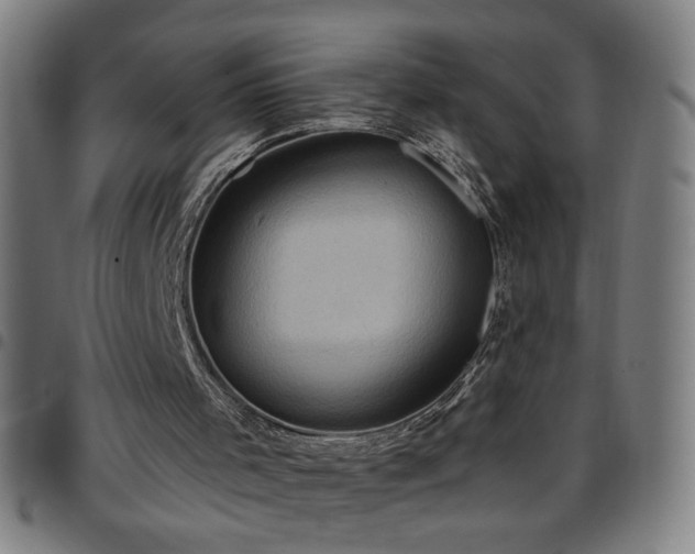 X0000097650001200803071520