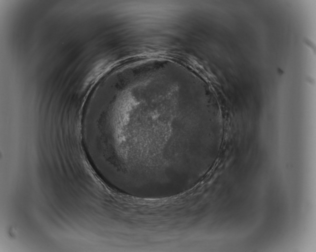 X0000097650002200803071520