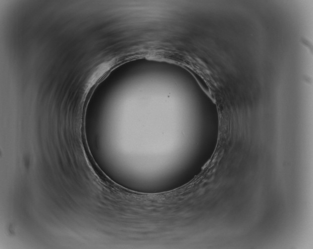 X0000097650003200803071520