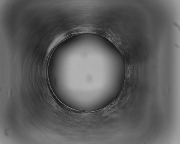 X0000097650004200803071520