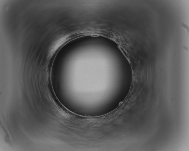 X0000097650005200803071520