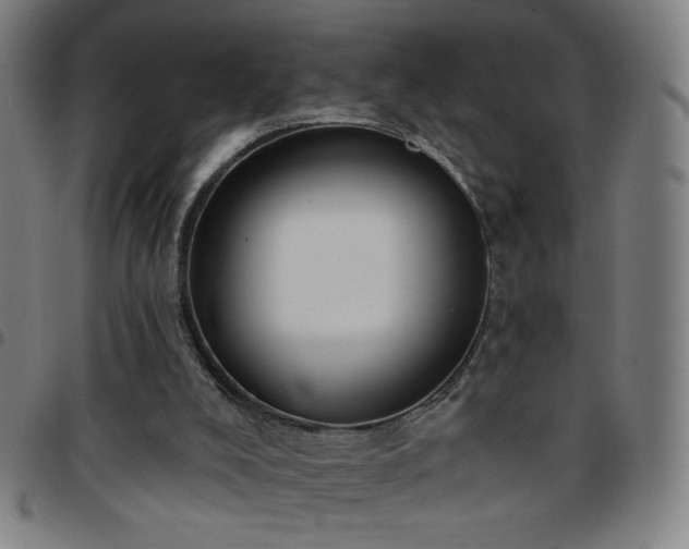 X0000097650008200803071520