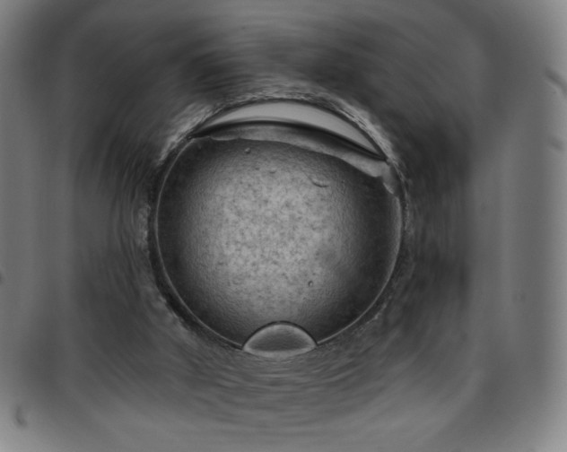 X0000097650010200803071520