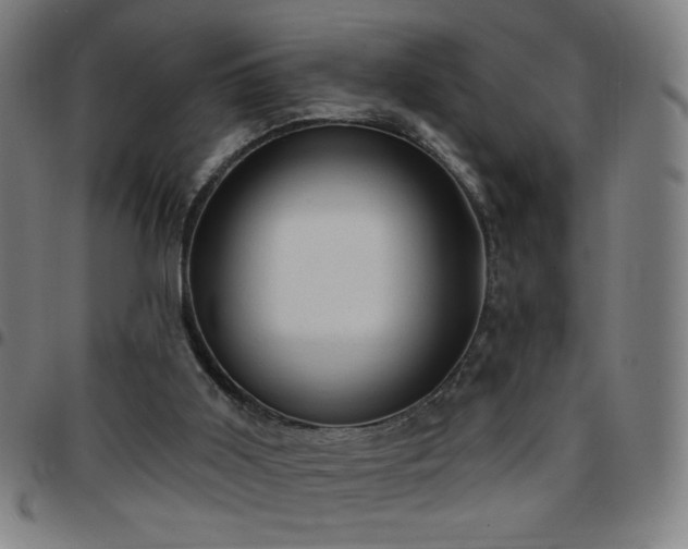 X0000097650011200803071520