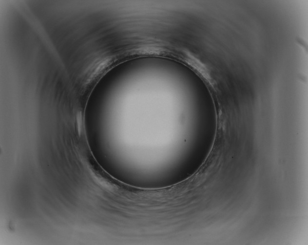 X0000097650013200803071520