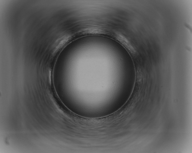 X0000097650014200803071520