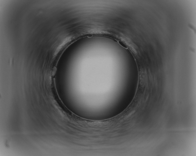 X0000097650015200803071520