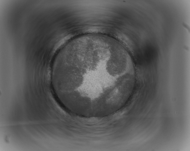 X0000097650016200803071520