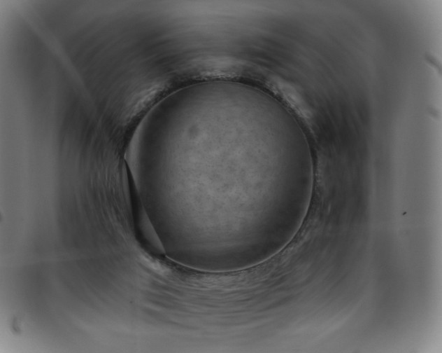 X0000097650017200803071520