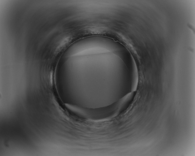 X0000097650019200803071520