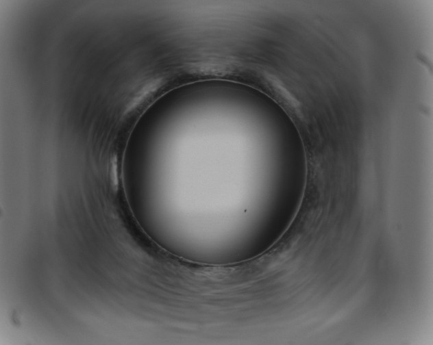 X0000097650020200803071520