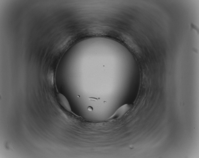 X0000097650021200803071520