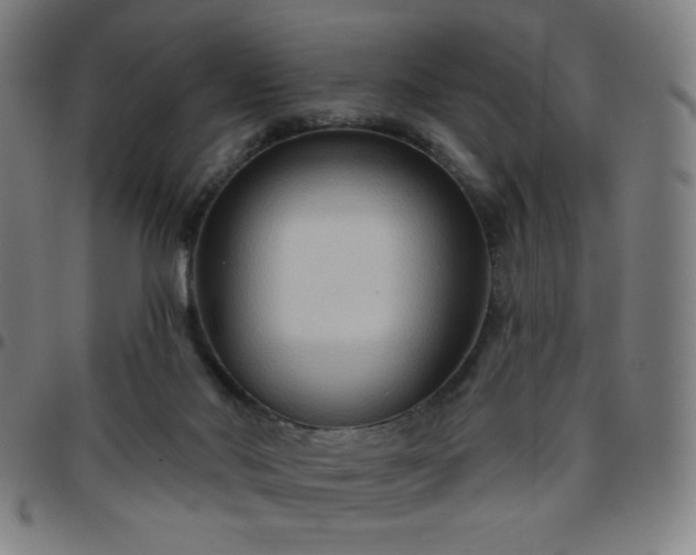 X0000097650022200803071520