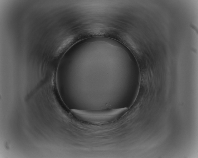 X0000097650023200803071519