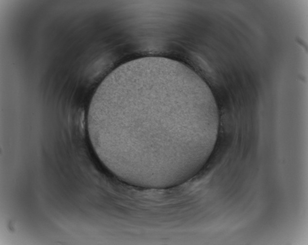 X0000097650024200803071519