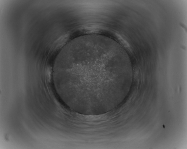 X0000097650026200803071519