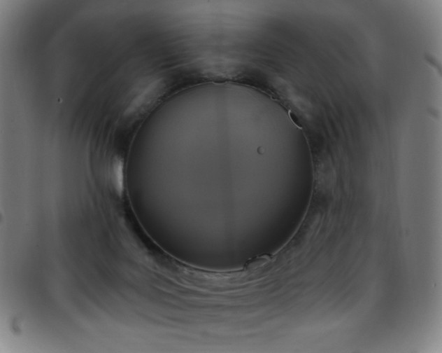 X0000097650027200803071519