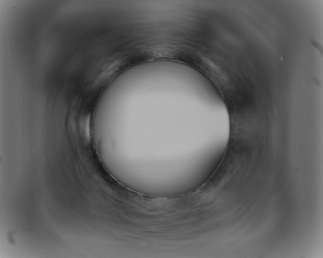 X0000097650028200803071519