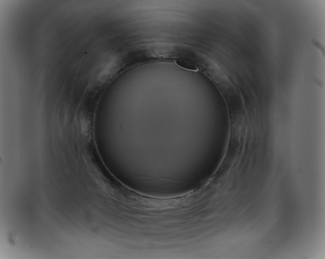 X0000097650031200803071519