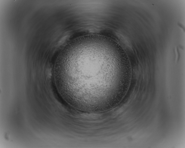 X0000097650032200803071519