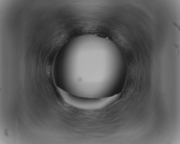 X0000097650033200803071519