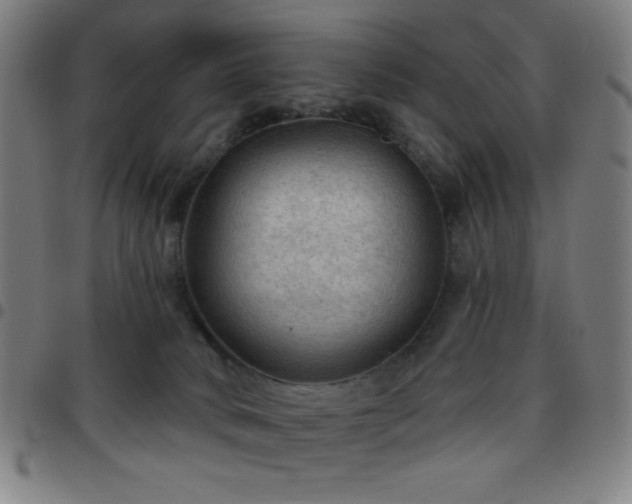 X0000097650034200803071519