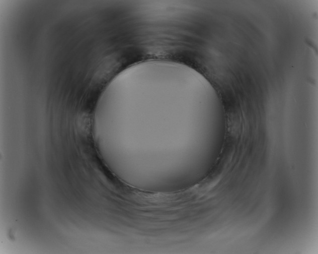 X0000097650036200803071519