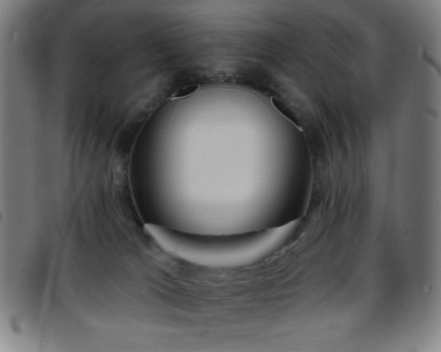 X0000097650037200803071519