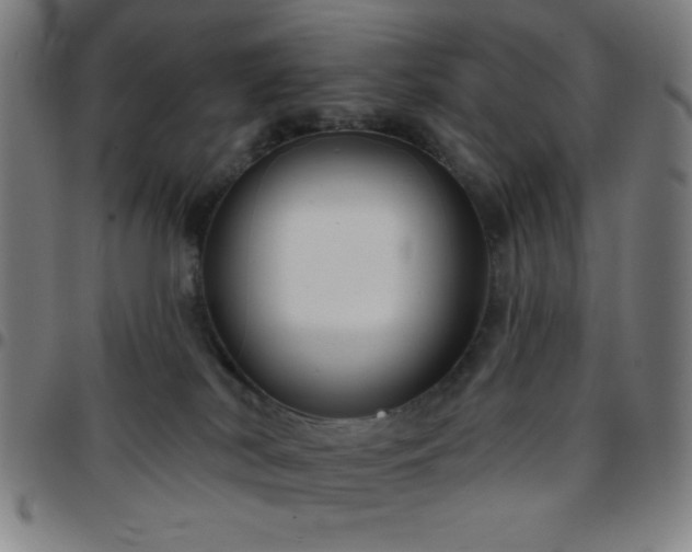 X0000097650038200803071519