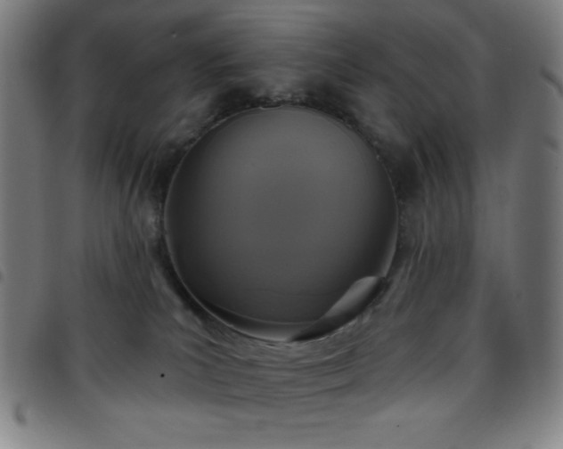 X0000097650039200803071519