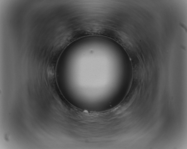 X0000097650040200803071519