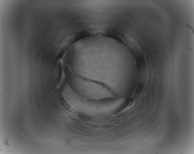 X0000097650041200803071519