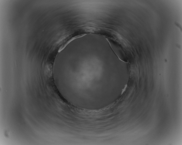 X0000097650043200803071519