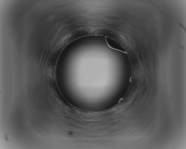 X0000097650044200803071519