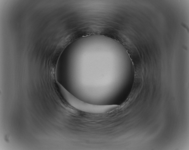 X0000097650045200803071519