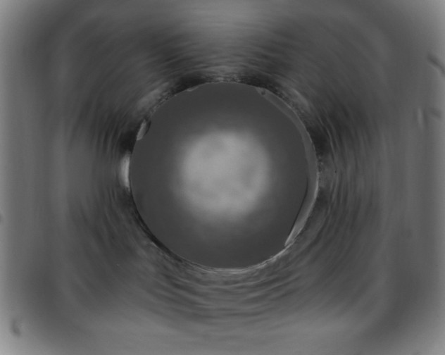 X0000097650047200803071519