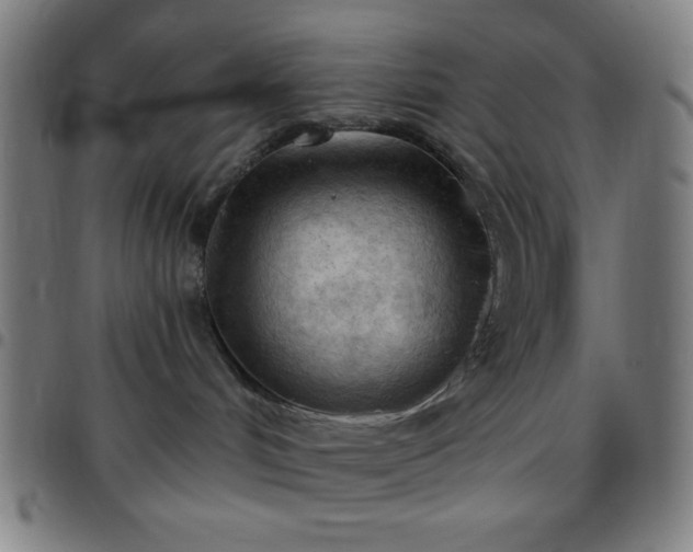 X0000097650048200803071519