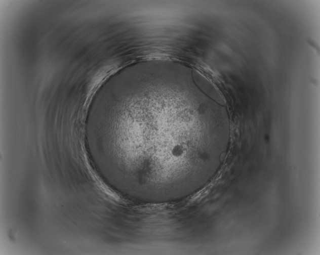 X0000097650049200803071518