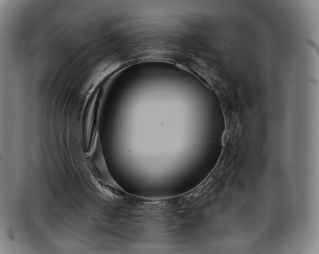 X0000097650050200803071518