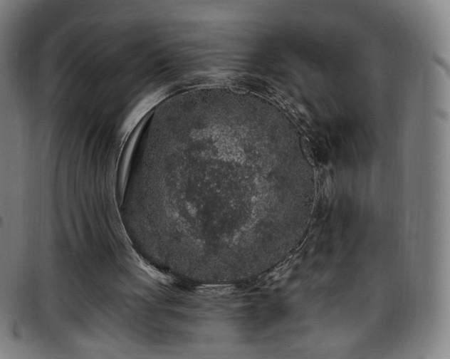 X0000097650051200803071519