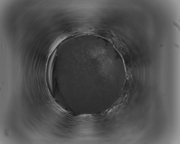 X0000097650052200803071519