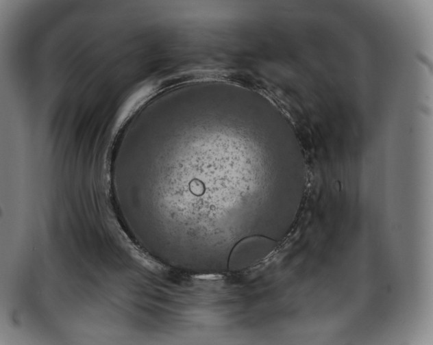 X0000097650053200803071519