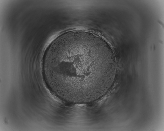 X0000097650055200803071519